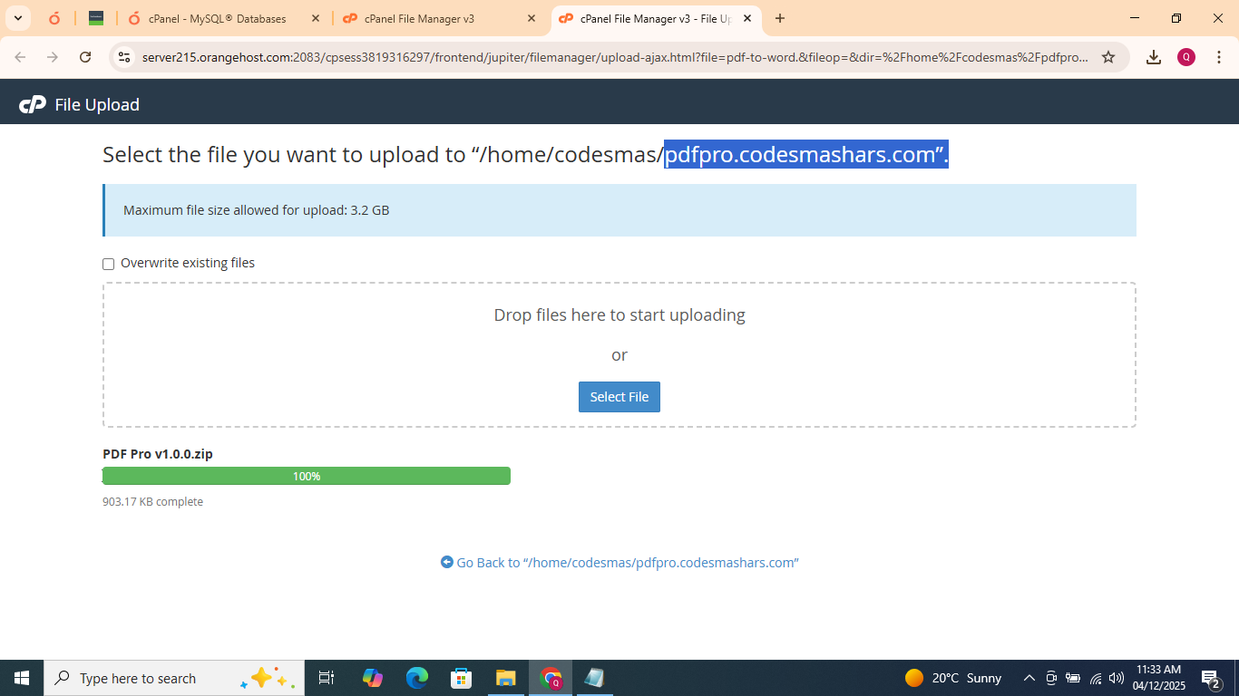 Upload files to public_html directory using FTP or File Manager